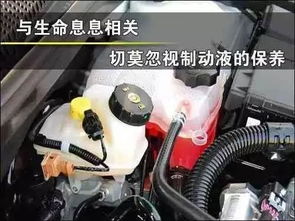 汽车多少公里换(汽车多少公里换，深入了解汽车更换周期与维护知识)