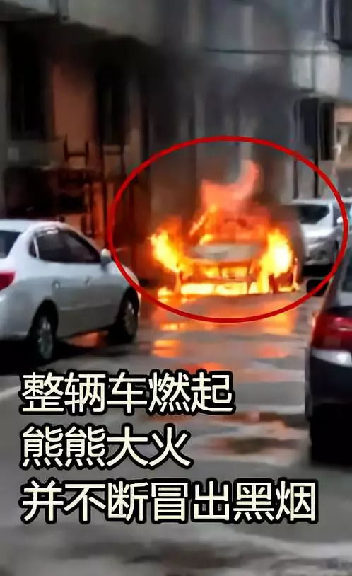 汽车烧多少柴火(汽车烧多少柴火，探究汽车燃料消耗的奥秘)