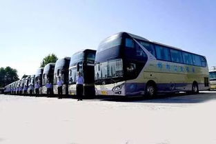 做多少路汽车(城市出行，如何选择做多少路汽车)