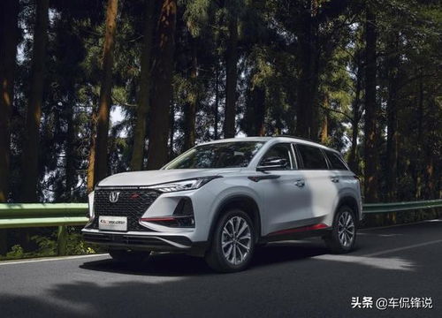 汽车出行费用多少(汽车出行费用多少，全面解析汽车出行成本构成)