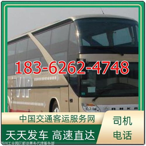 汽车站汽车多少座位安全(探究汽车站汽车座位安全与数量的平衡)