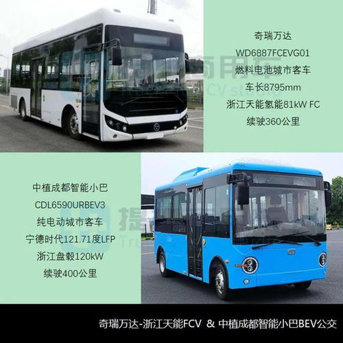江门汽车站多少台汽车(江门汽车站的车辆数量概况)