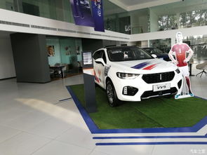 长城汽车多少品牌汽车(长城汽车旗下品牌汽车概述)