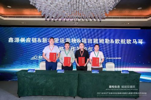 汽车接口多少(汽车接口数量及其影响，技术革新与未来发展的探讨)