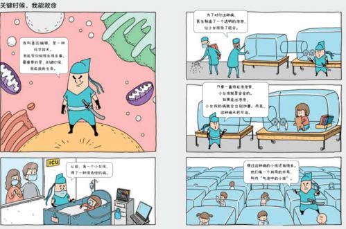 汽车接口多少(汽车接口数量及其影响，技术革新与未来发展的探讨)