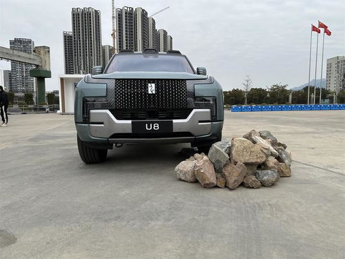 理想汽车多少(理想汽车，探索未来的无限可能，究竟多少才是完美？