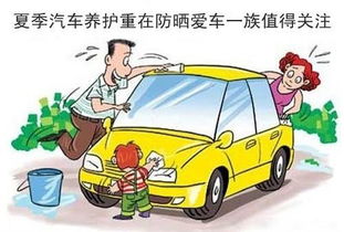 汽车桑拿多少(汽车桑拿，深度清洁与保养的艺术)