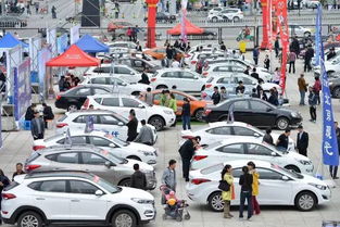 安丘学汽车多少钱一个月(安丘学汽车，费用与前景分析)