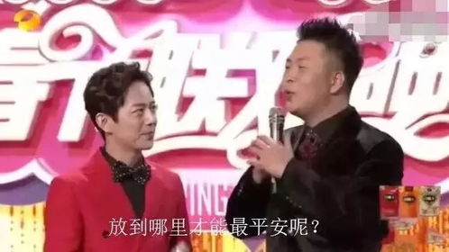 黄杨钿甜父亲涉7亿项目未招商成功(黄杨钿甜父亲涉7亿项目未招商成功的背后故事)