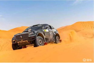 拉力赛有多少个汽车厂家(拉力赛中的汽车厂家数量概览)