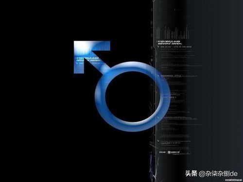 相册怎么共享华为电脑桌面(华为电脑桌面相册共享，轻松实现照片同步与展示)
