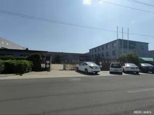 容城镇汽车吊多少钱一天(容城镇汽车吊租赁费用探究，一天需要多少钱？