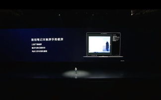 华为电脑录屏模糊怎么调(华为电脑录屏模糊调整指南)