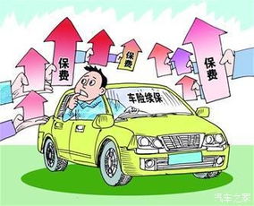 汽车全险第一年多少钱(汽车全险第一年费用详解，价格因素与保障内容)