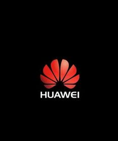 华为电脑怎么不保留花瓣logo(华为电脑不再保留花瓣Logo，品牌重塑与市场策略调整)