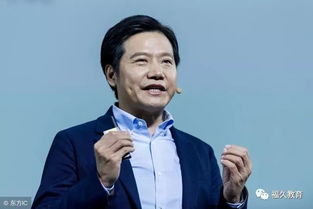 10年投500亿 雷军拼了(十年磨一剑，雷军豪掷五百亿，拼搏铸就辉煌)