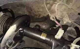 一套汽车减震器有多少个(一套汽车减震器中的减震器数量解析)