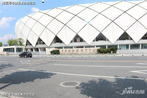 五指山汽车除甲醛多少钱(五指山汽车除甲醛服务费用解析)