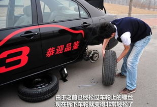 汽车轮胎内侧多少钱一条(汽车轮胎内侧价格解析，多少钱一条？