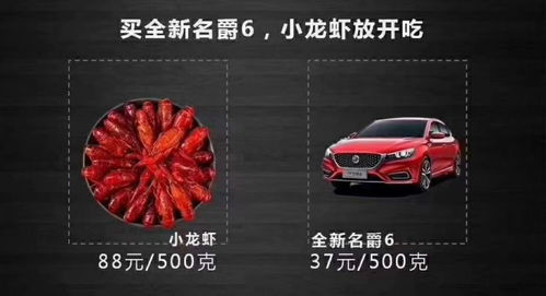 买一斤的小汽车要多少钱(揭秘买一斤的小汽车价格真相，成本与价值的考量)