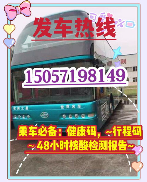 南阳到汽车票多少钱一张(南阳到汽车票价格查询，费用与选择详解)