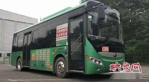 盘锦公共汽车站电话多少(盘锦公共汽车站电话大全及出行指南)