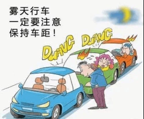 不是母子 不是考公 不是舍不得打车(超越亲情的纽带，一段特殊的情感故事)