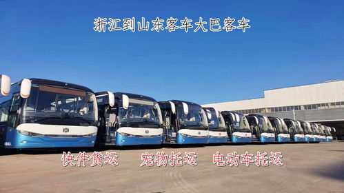 东莞到惠洲汽车站多少钱(关于从东莞到惠洲汽车站的价格及乘车指南)
