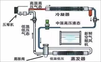 汽车空调有多少个循环泵(汽车空调循环泵的数量及其作用)