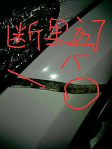 小汽车换后保险杠多少钱(小汽车换后保险杠的费用解析)