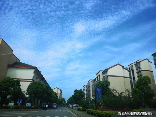 横沥汽车站到南站多少钱(横沥汽车站到南站的价格解析)