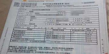 汽车保险交一年能买多少(汽车保险一年购买金额解析，费用构成与影响因素探讨)