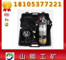 汽车呼吸器有用吗多少钱(汽车呼吸器，作用、价格及其价值)