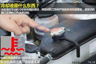 汽车灯泡加多少标号的水(汽车灯泡维护指南，如何正确为汽车灯泡添加适当标号的冷却液水)