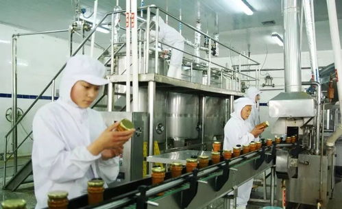 森之国度华为电脑怎么玩(森之国度华为电脑游戏攻略，如何畅享华为电脑的游戏体验)