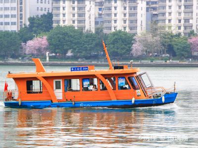 四川汽车水上浮桥多少钱(四川汽车水上浮桥价格概览)