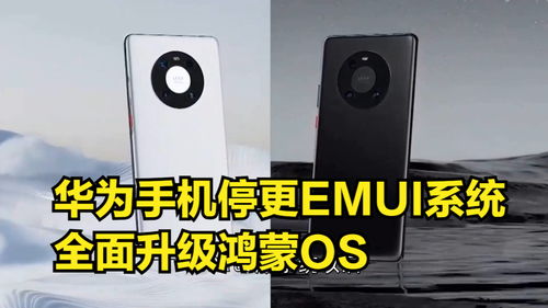 华为电脑怎么升级鸿蒙os系统(华为电脑升级鸿蒙OS系统，步骤与操作指南)