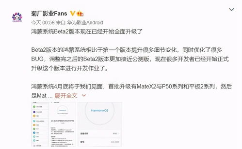 华为电脑怎么升级鸿蒙os系统(华为电脑升级鸿蒙OS系统，步骤与操作指南)