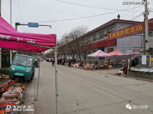 铜川到王桥汽车站多少钱(铜川到王桥汽车站的价格，交通成本与选择的艺术)