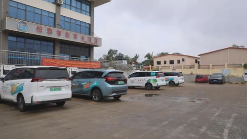 廉江城东汽车站电话多少(探索廉江城东汽车站，电话号码与更多信息)
