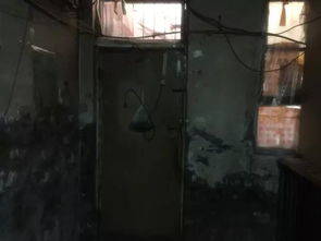 35岁小伙不结婚 爆改山洞隐居4年(山洞隐居的孤独行者，一位35岁小伙的别样人生选择)