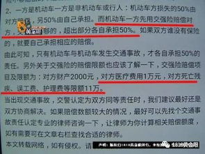 汽车商业保险三责多少钱(汽车商业保险中的三责险费用解析)