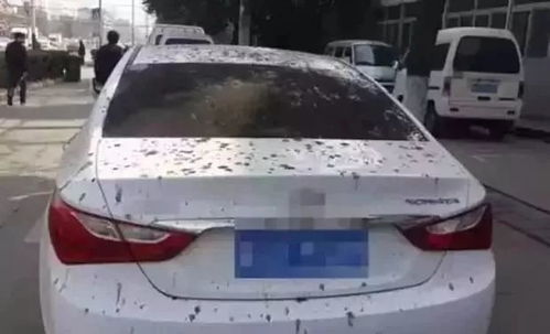 汽车刮了车漆多少钱一米(汽车刮痕修复费用详解，车漆刮擦，修复一米需要多少钱？