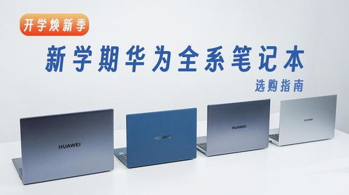 怎么选华为全家桶电脑版(华为全家桶电脑版的选择攻略)