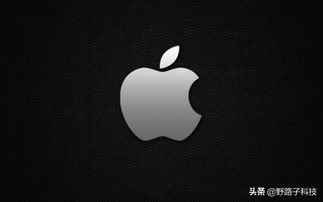 华为手机怎么连苹果电脑(华为手机与苹果电脑互联指南)