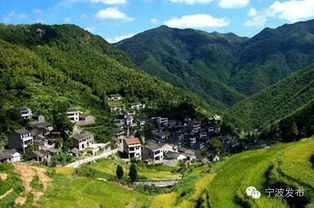 汽车跑四明山多少钱(汽车跑四明山的费用详解)