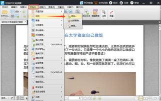 华为电脑怎么给pdf加水印(华为电脑如何为PDF文件添加水印)