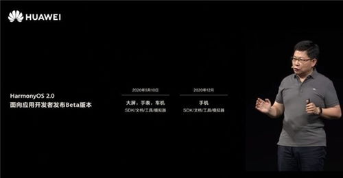华为电脑怎么下易次元(华为电脑如何轻松下载易次元，详细步骤与指南)