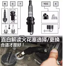 汽车换皮带火花塞多少钱(汽车换皮带与火花塞的费用解析)