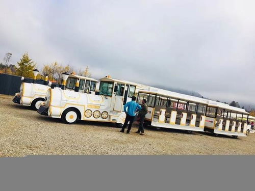 郑州到虞城汽车站多少钱(郑州到虞城汽车站的价格及旅行指南)